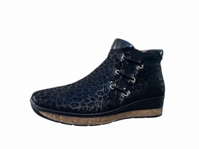 Climate Friendly CASSINI MISSION