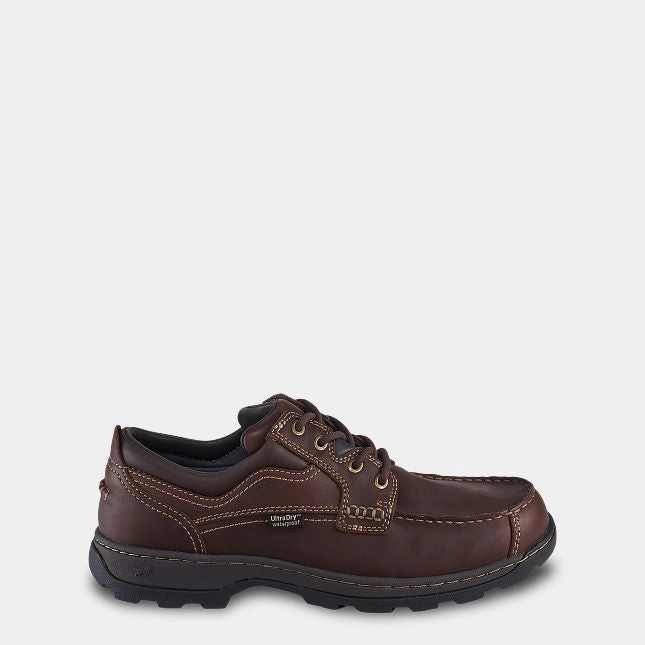 Trendy Style Soft Paw - 3874