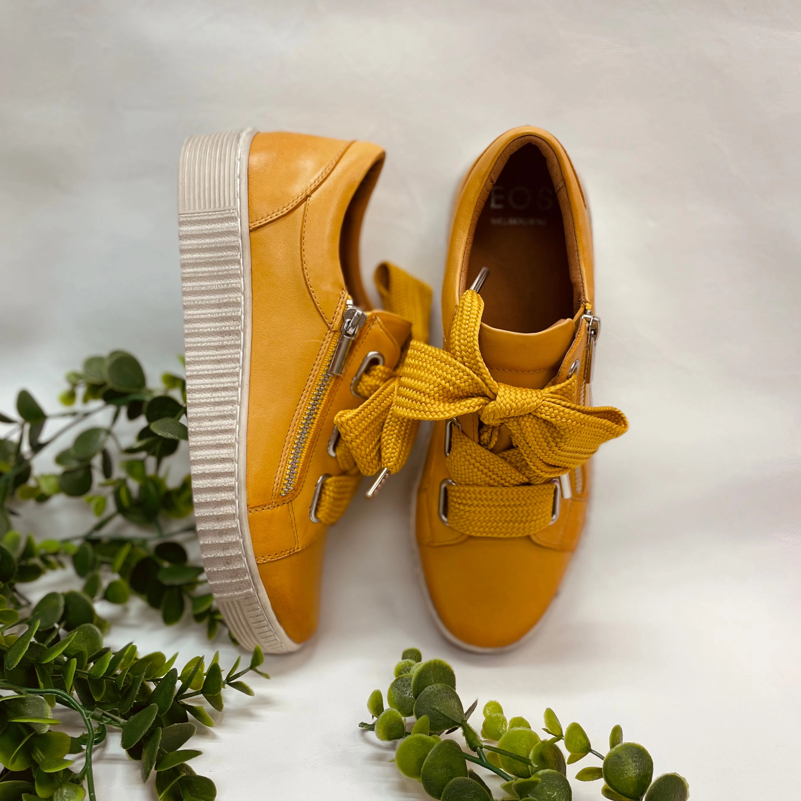 Event Jovi - Mustard