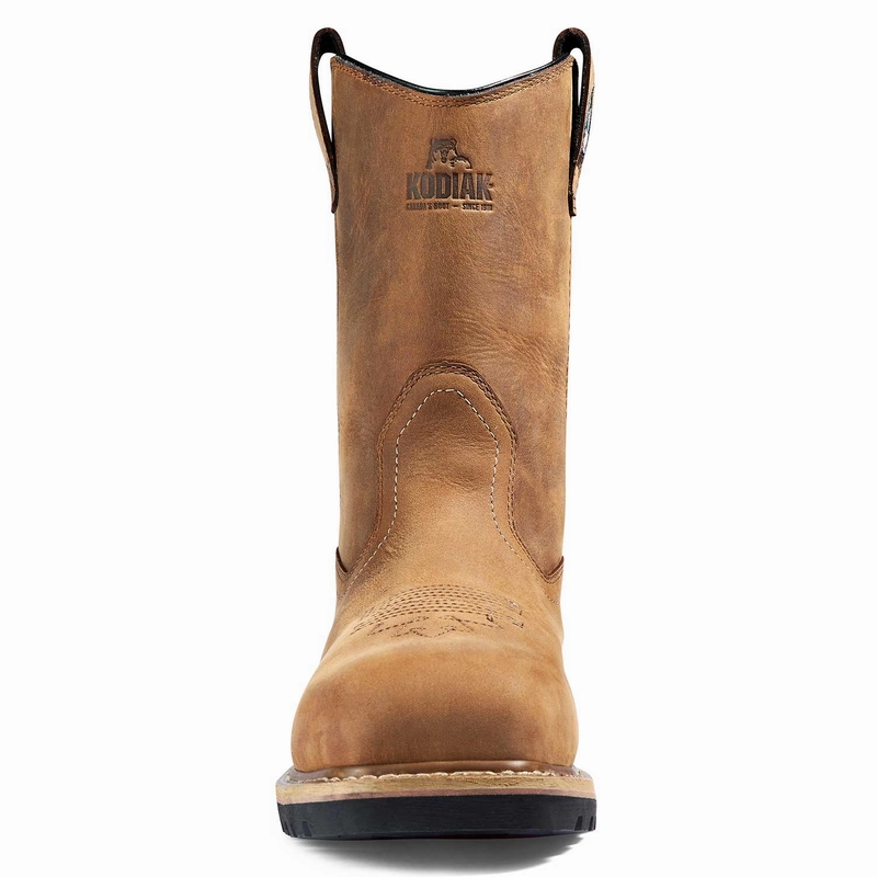 Lundbreck - Brown Ice Road