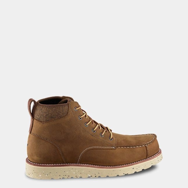 Setter Fifty - 3918 Noise free Weekend Hike