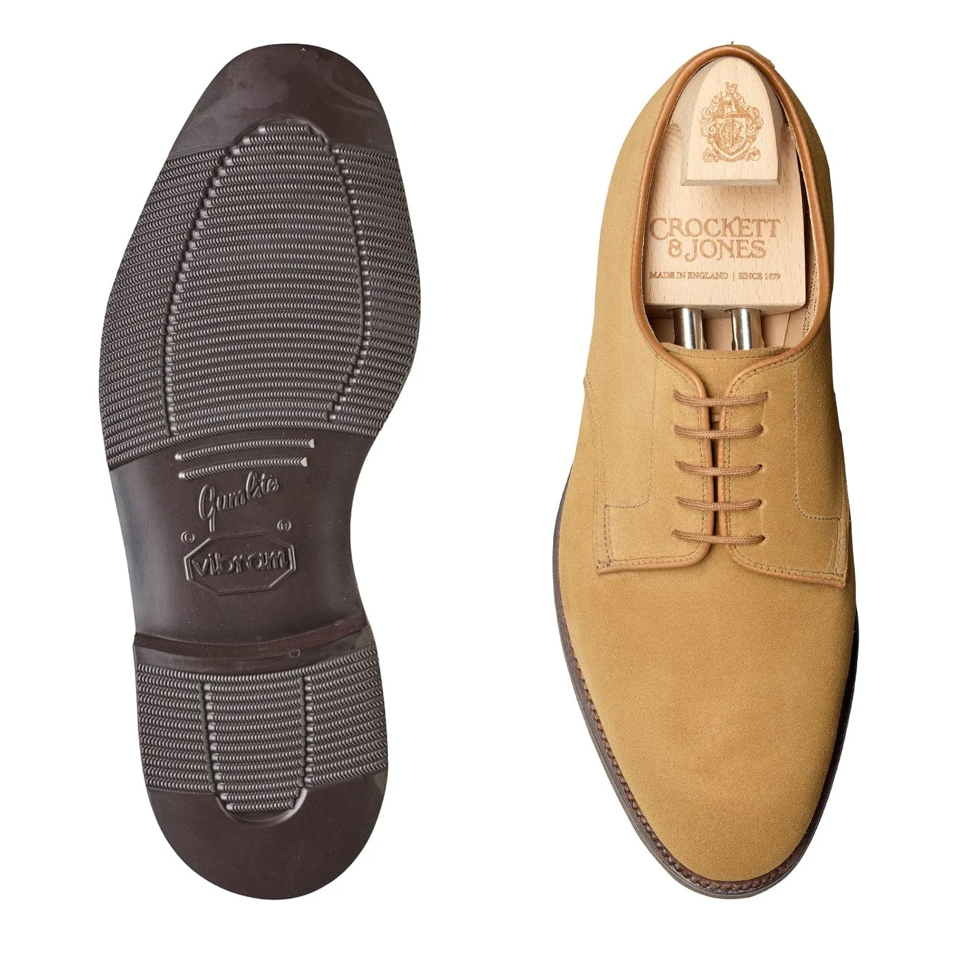 Latimer Camel Suede Stylish Shoes